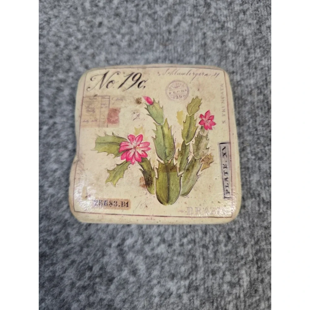 Set Of 4 Cactus Coasters